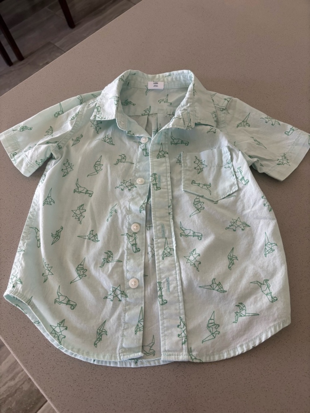 Baby Gap Dino toddler button down